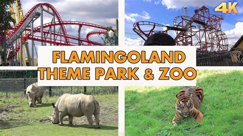 Flamingo Land Theme Park ve Zoo: Hayvanlarla Dolu Bir Eğlence Dünyası!