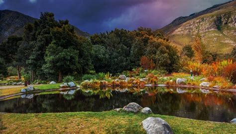 Harold Porter Botanical Garden Güzelliğinin ve Biyoçeşitliliğin Kalbinde Bir Yolculuk!