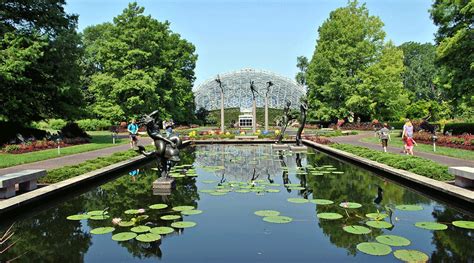  Missouri Botanical Garden: Bir Vaha Gibi Çiçek ve Bitki Harikası!